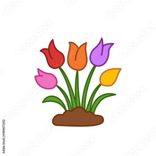 Colorful tulips vector illustration