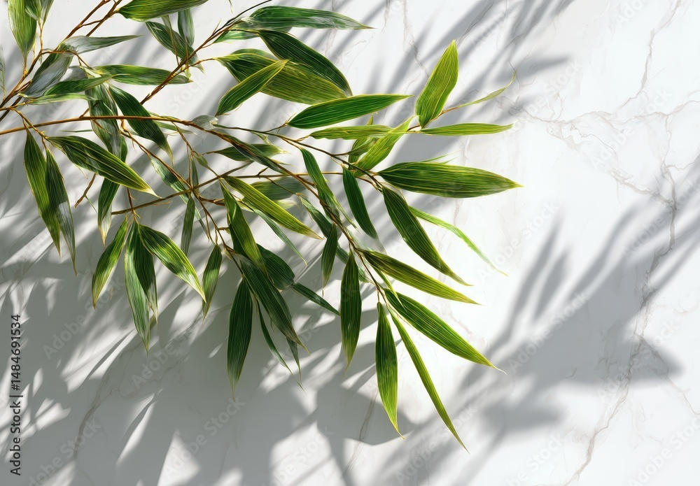 Fototapeta premium Green bamboo leaves casting shadows on marble.