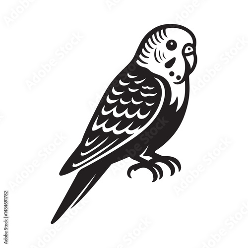 Cute Budgie Silhouette Graphic Art & Illustration