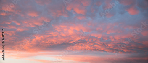 horizontal sunset sky background with seldom mammatus clouds, pink lighted in the evening