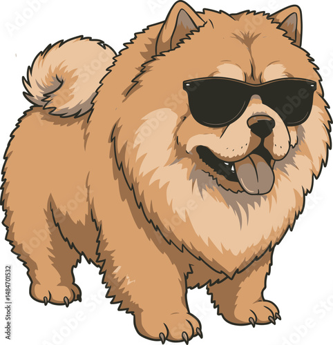Breed Chow Chow Dog  Vector 