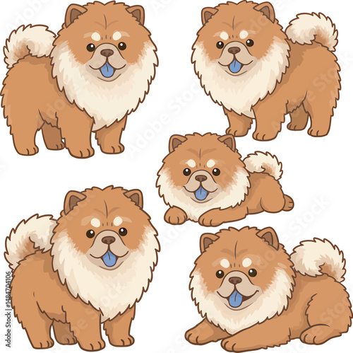 Breed Chow Chow Dog Vector 