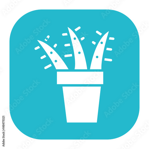 Aloe Vera Icon