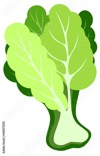 Flat vector icon of fresh collard. Leafy green vegetable. Healthy ingredient for vegetarian salad. Organic food