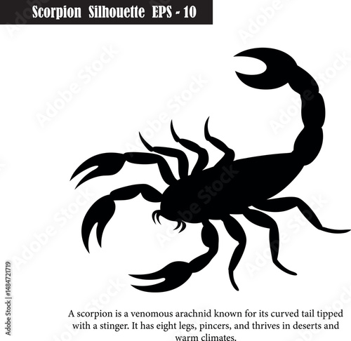 Black Scorpion Silhouette Vector Illustration