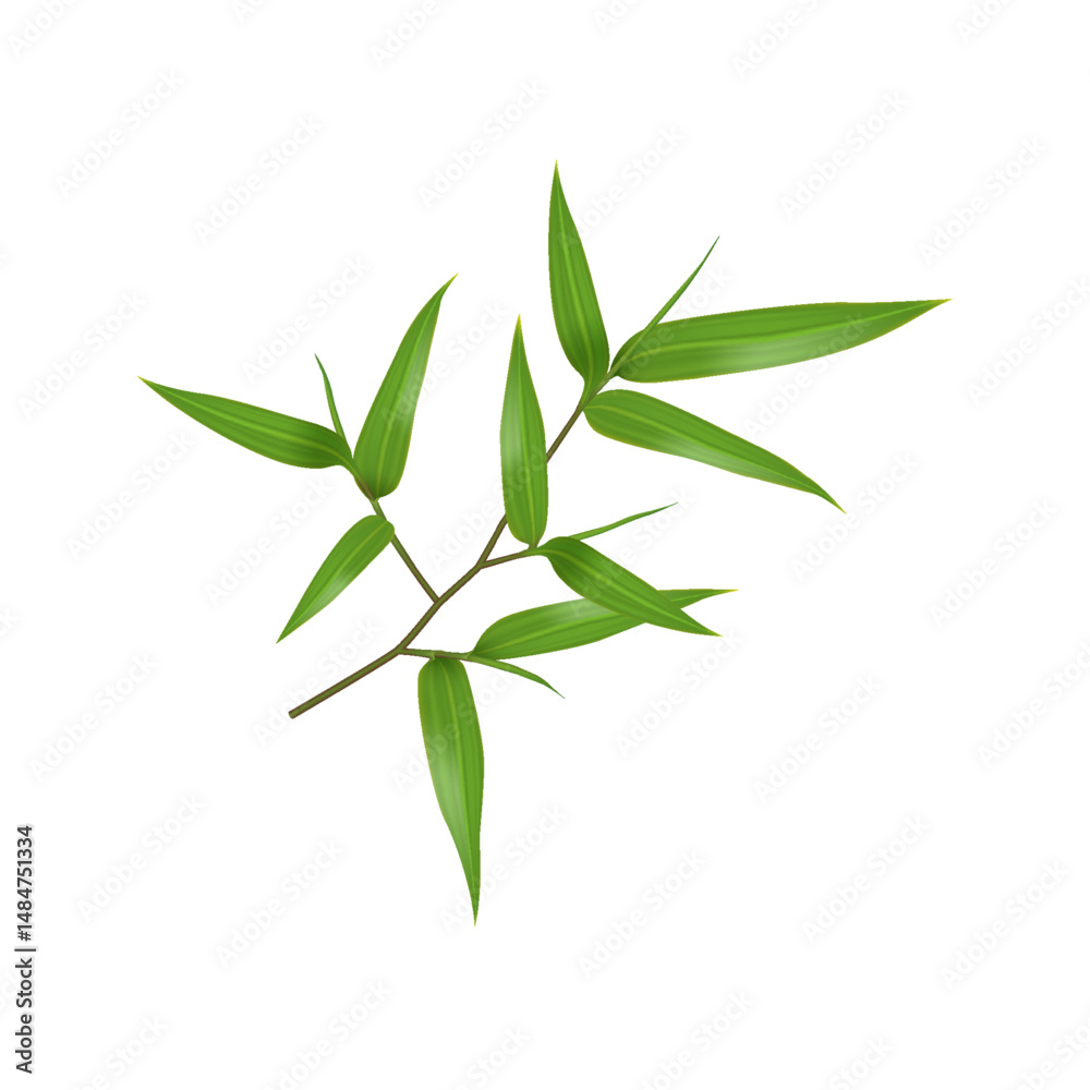 Fototapeta premium Illustration of a bamboo branch with lush green leaves. Realistic style on a white background. Ideal for nature themes and ecofriendly designs.