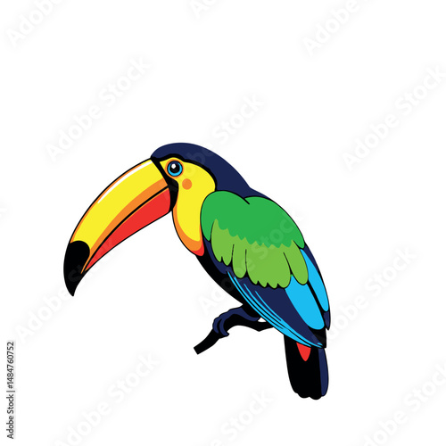Colorful Toucan Vector Sticker Illustration on White Background Design