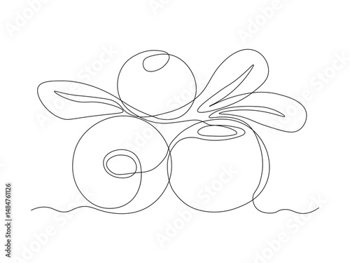 abstract berry cranberry, continuous single line art drawing sketch, logo