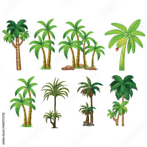 silhouette of a date tree