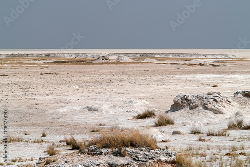 Blick auf die Salzpfanne von Etosha in der Trockenzeit photo