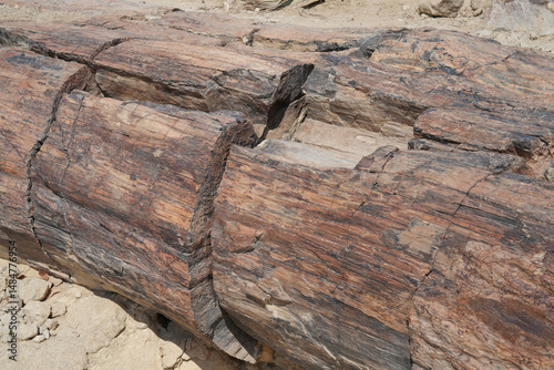 Versteinertes Holz im petrified Forest in Namiba, die Stämme sind durch die Zeit und den Druck in Quarz versteinert