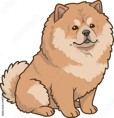Breed Chow Chow Dog Vector 