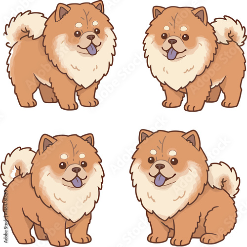 Breed Chow Chow Dog Vector 
