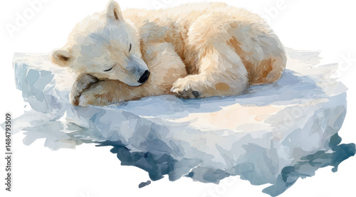 Watercolor painting of a cute and adorable baby polar bear cub sleeping on an ice floe