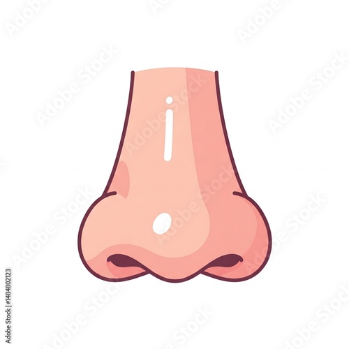 Cartoon illustration of a human nose with simple shading on a white background.