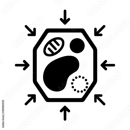 Cell biology diagram showing osmosis and turgor pressure in plant cells for education and science