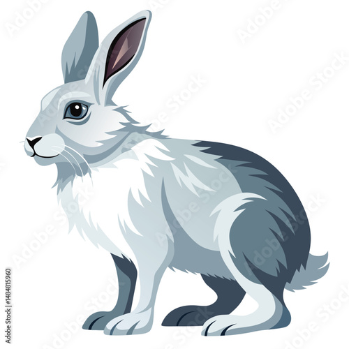 Snow hare
