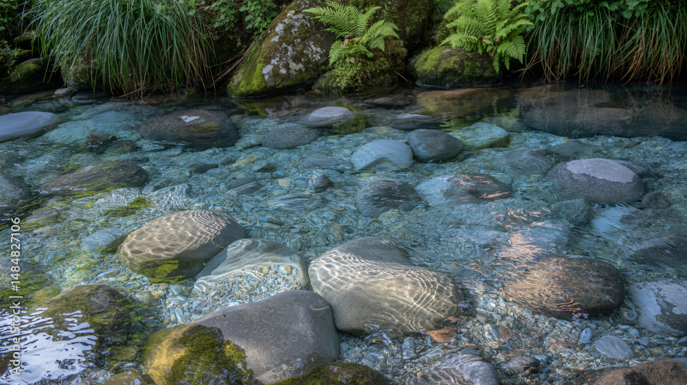 Fototapeta premium A close-up image of a clean river showcasing water transparency and natural beauty