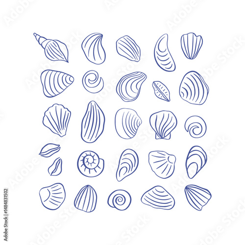 Hand drawn sea shells cliparts