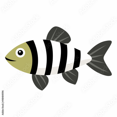 Zebra danio fish vector on white background