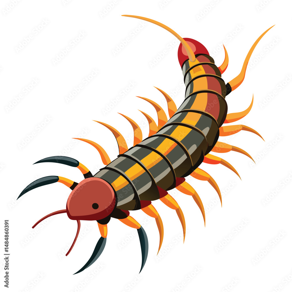 Fototapeta premium Centipede