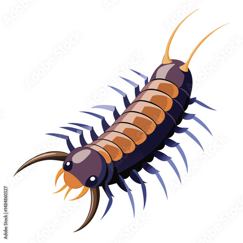 Centipede