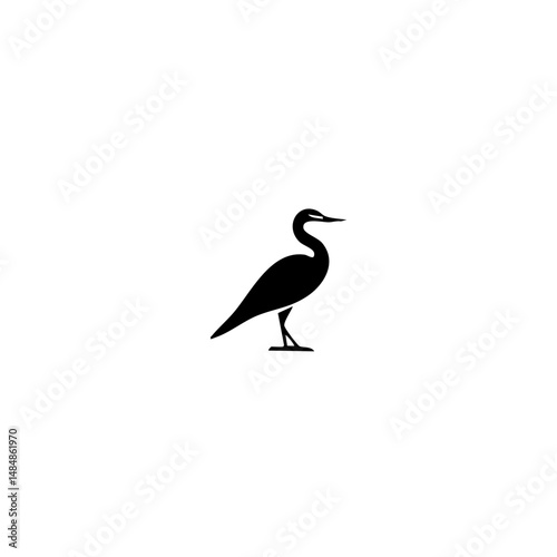 American bird Vector illustration
