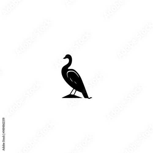 American bird Vector illustration