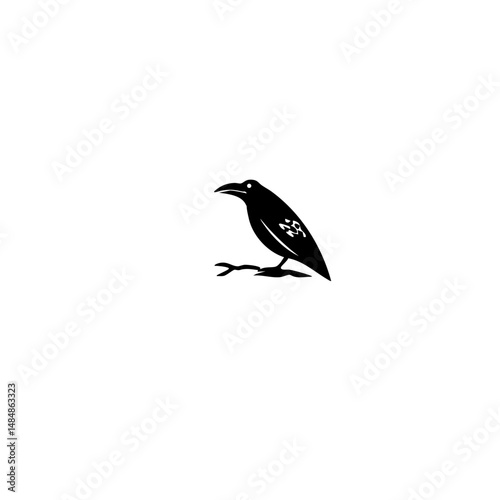 American bird Vector illustration