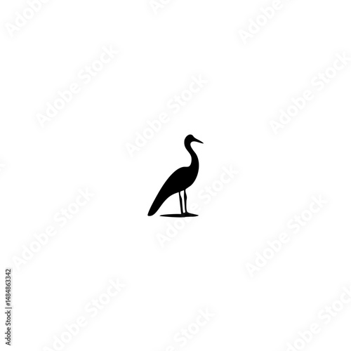 American bird Vector illustration