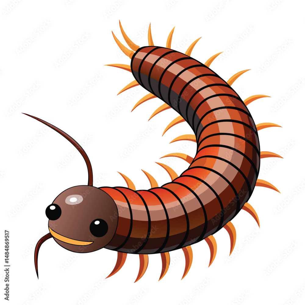 Fototapeta premium Millipede