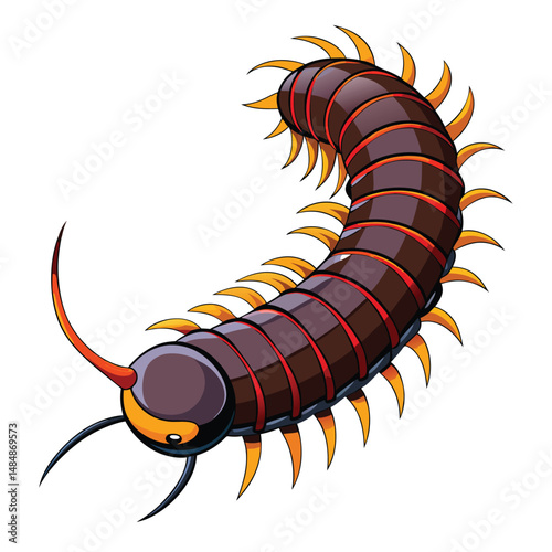 Millipede