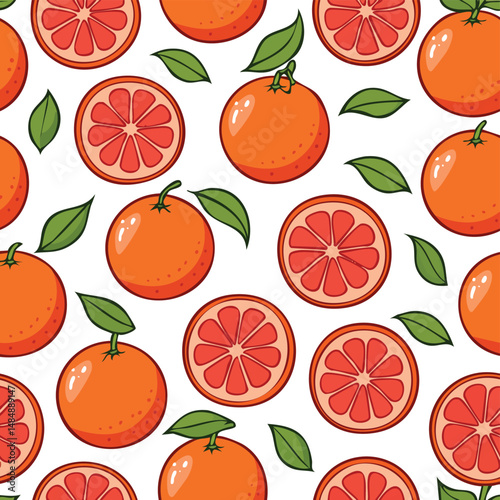 Grapefruit Vector Illustration with Seamless Pattern Design