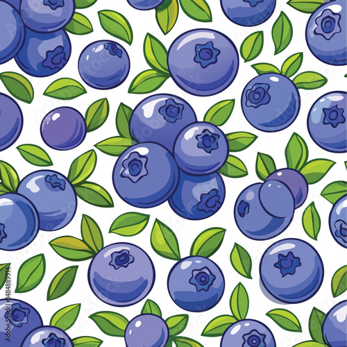Bilberry Vector Illustration with Seamless Pattern Design