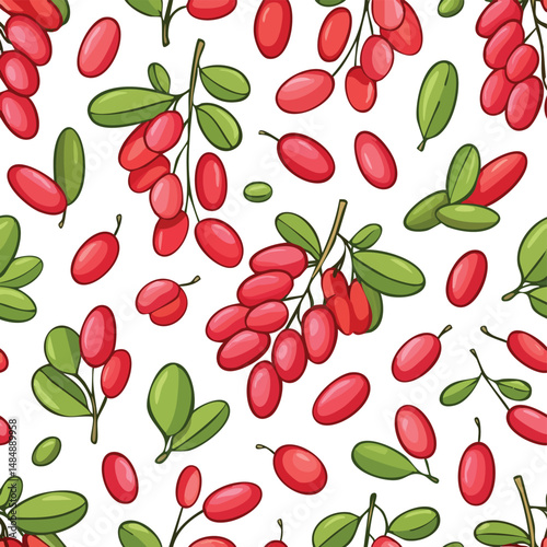 Barberry Vector Illustration with Seamless Pattern Design
