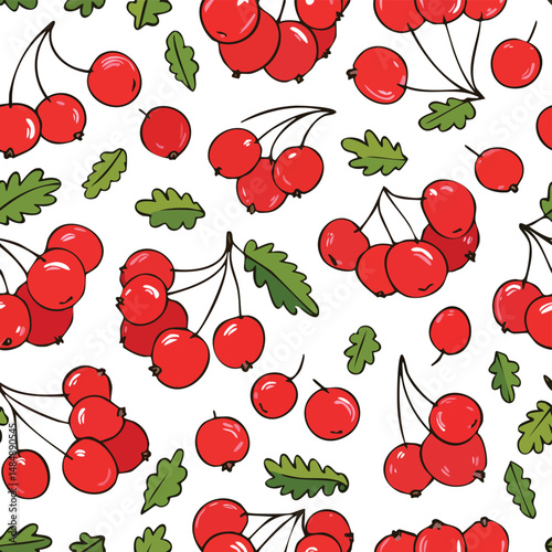 Hawthorn Berry Vector Illustration with Seamless Pattern Design
