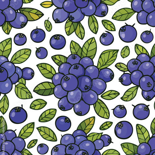 Aronia Berry Vector Illustration with Seamless Pattern Design