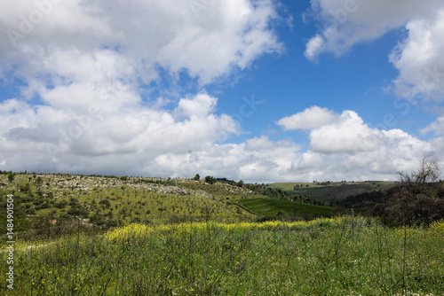 beautiful  landscape of upper galilee in israel