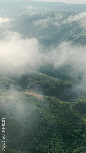 4k Drone Vertical Clip of Mist and Crops on Mountain Slopes 