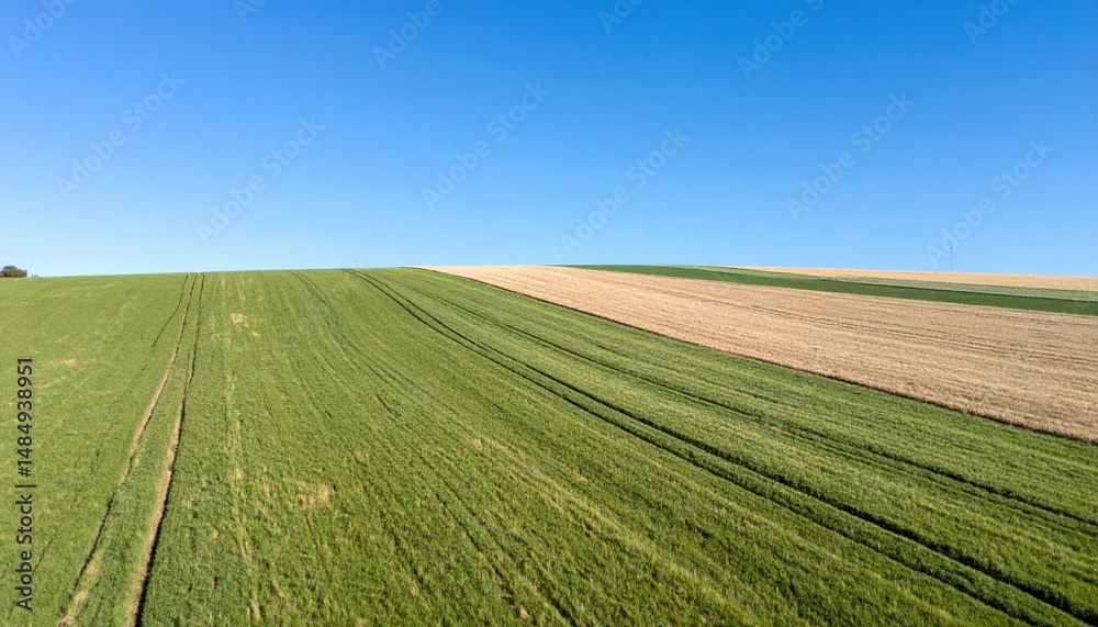Fototapeta premium Harvesting green fields and brown hills rural landscape aerial view nature vibrant environment