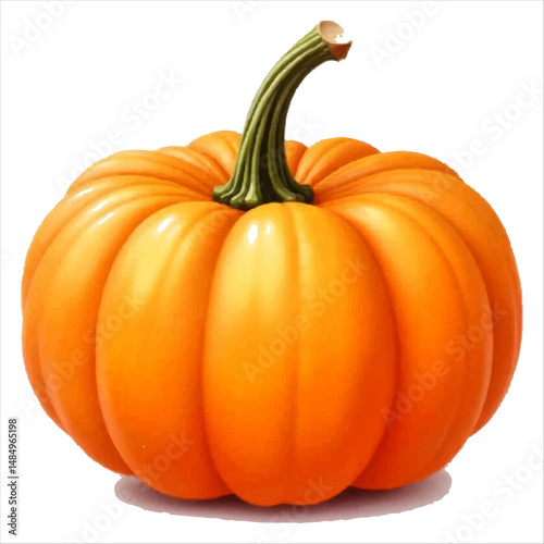 Plump Pumpkin with Natural Look White Background