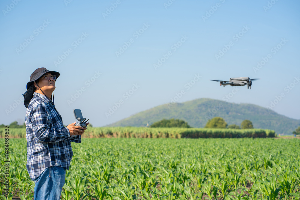 custom made wallpaper toronto digitalAgronomist Using Technology in Agricultural Corn Field. Drone flying over green corn fields.
