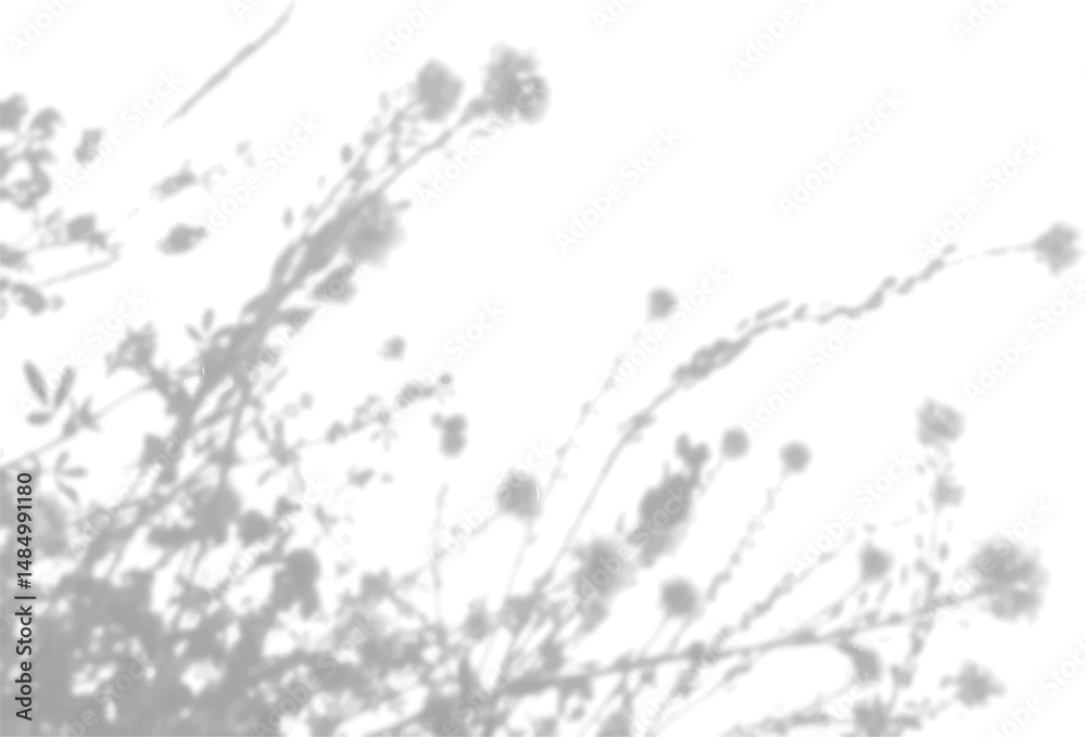 Fototapeta premium The shadow of the field grass on the white wall. A black and white image to overlay on a photo or mockup
