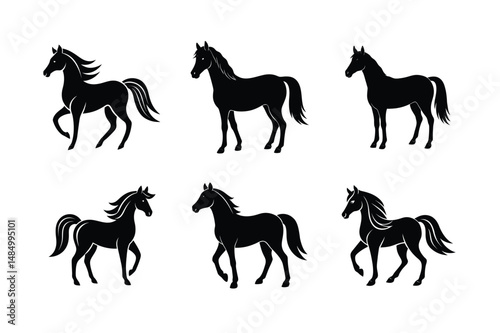 decorative black stallion design