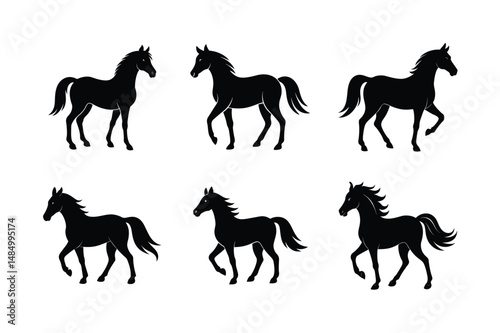 classic horse black stallion vector