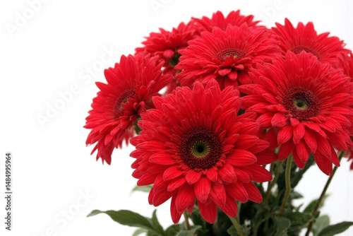 bunch of red flowers in a vase on a white background