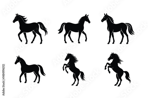 black stallion silhouette in motion