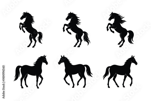 black stallion horse icon design