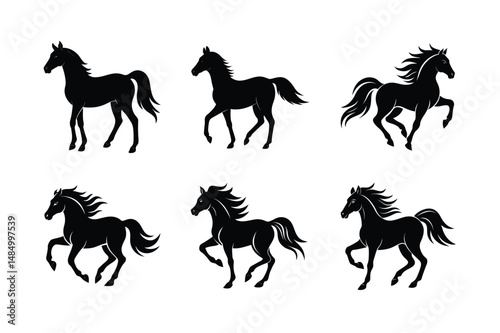 black stallion outline minimal vector