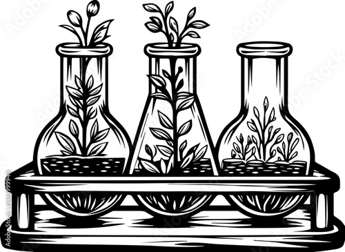 SVG vector of a laboratory and research facility focused on biology. Growing Plants in Laboratory Glass Containers with Foliage Samples